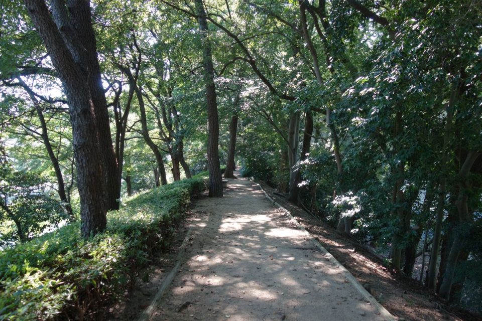 Allee im Stadtpark Matsuyama