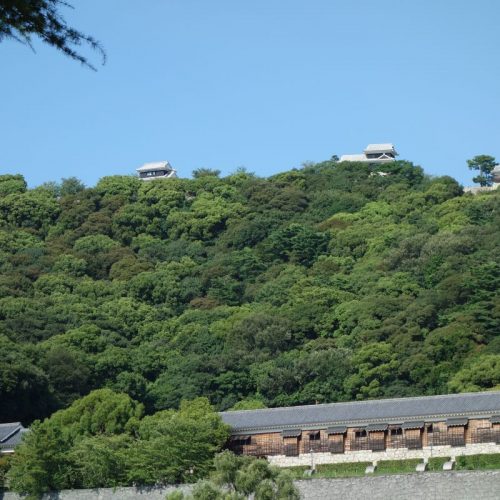 Ausblick zum Matsuyama CastleAusblick zum Matsuyama Castle