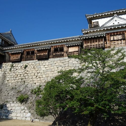 Matsuyama Castle #2
