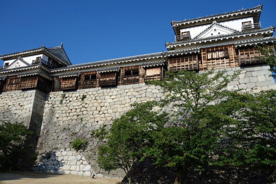 Matsuyama Castle #2