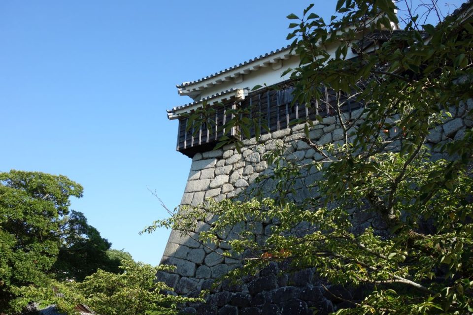 Matsuyama Castle #1