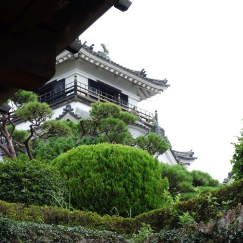Burg Kōchi #3