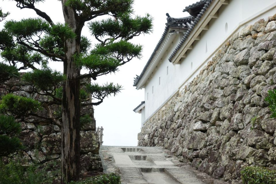 Burg Kōchi #5