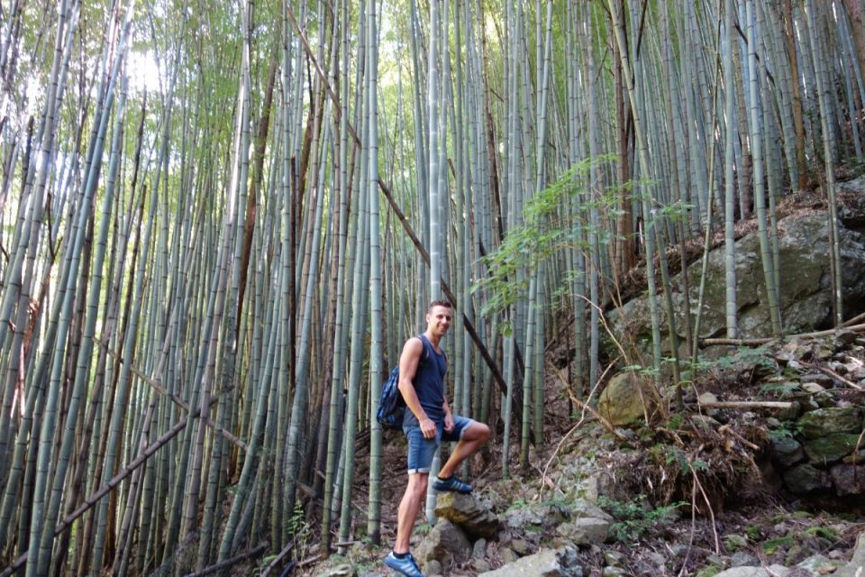 Ein Bambuswald und Sven zum Vergleich