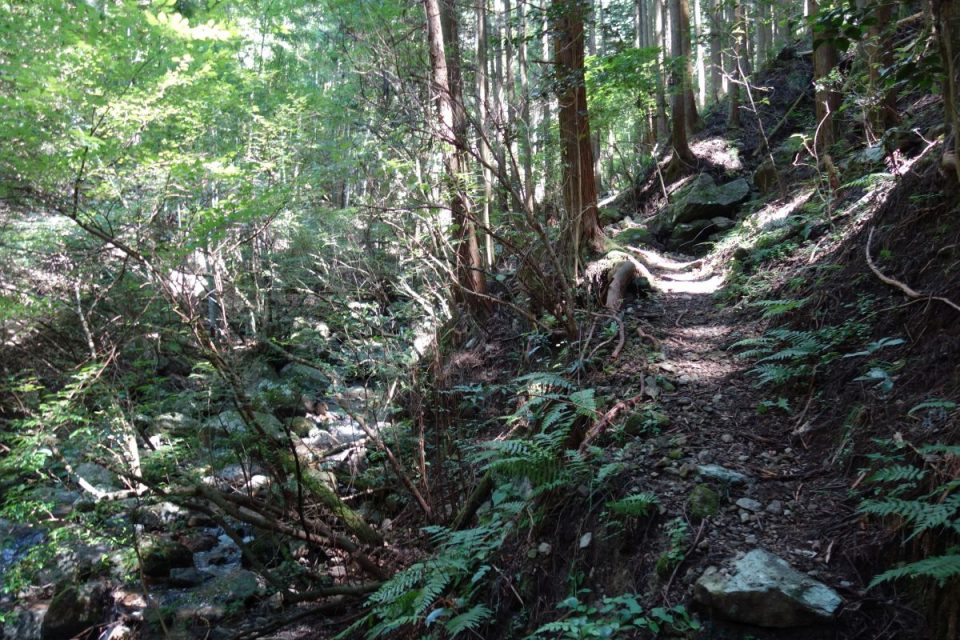 Sokusawa Trail #1