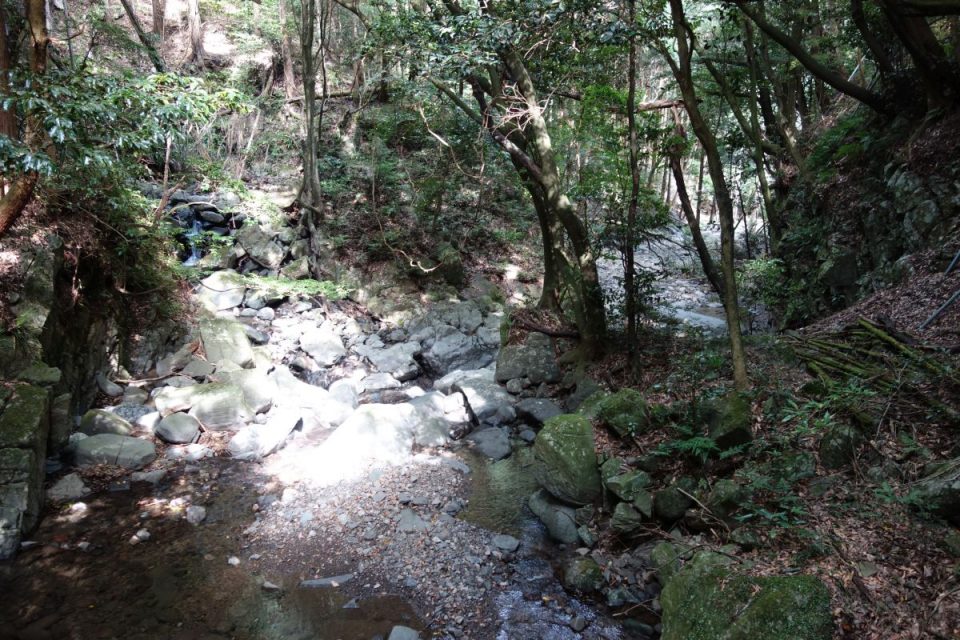 Old Hirayama Trail #4