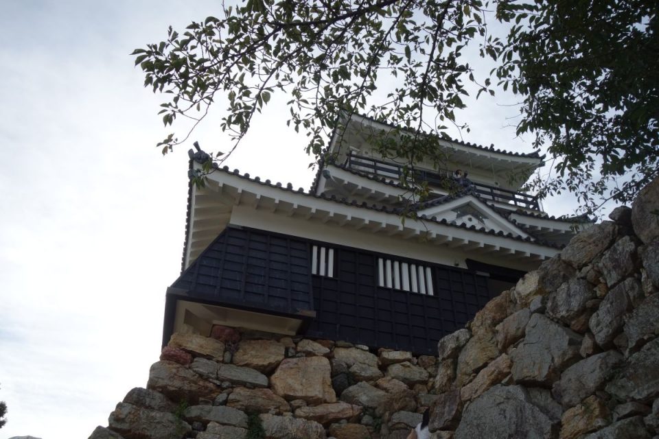 Burg Hamamatsu #1