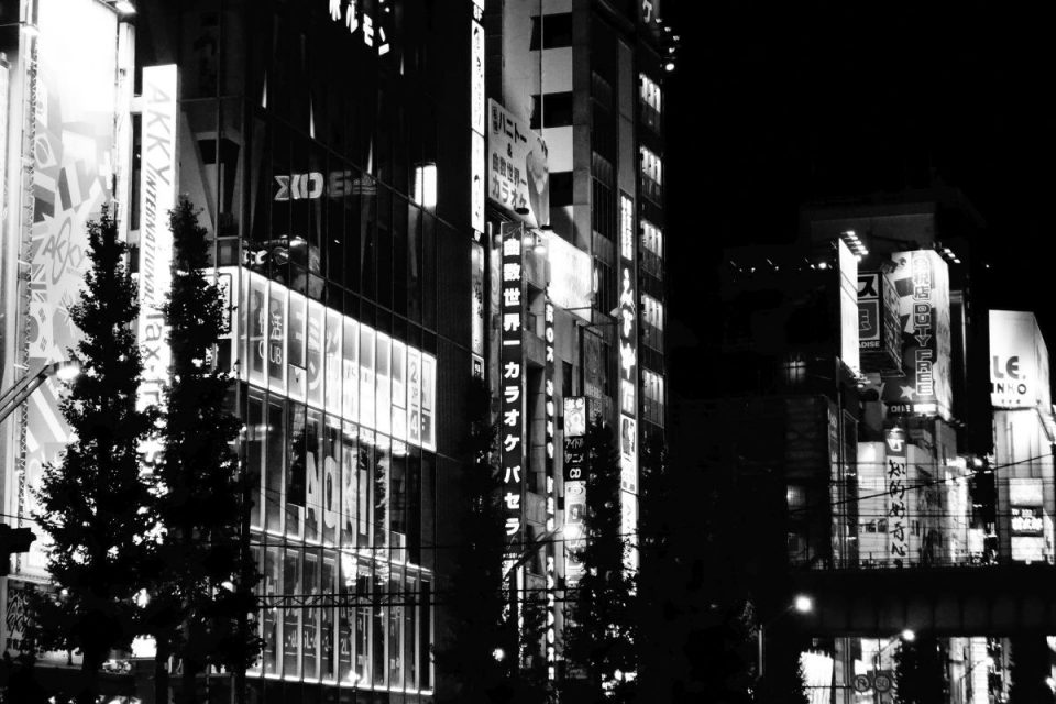 Akihabara bei Nacht #3