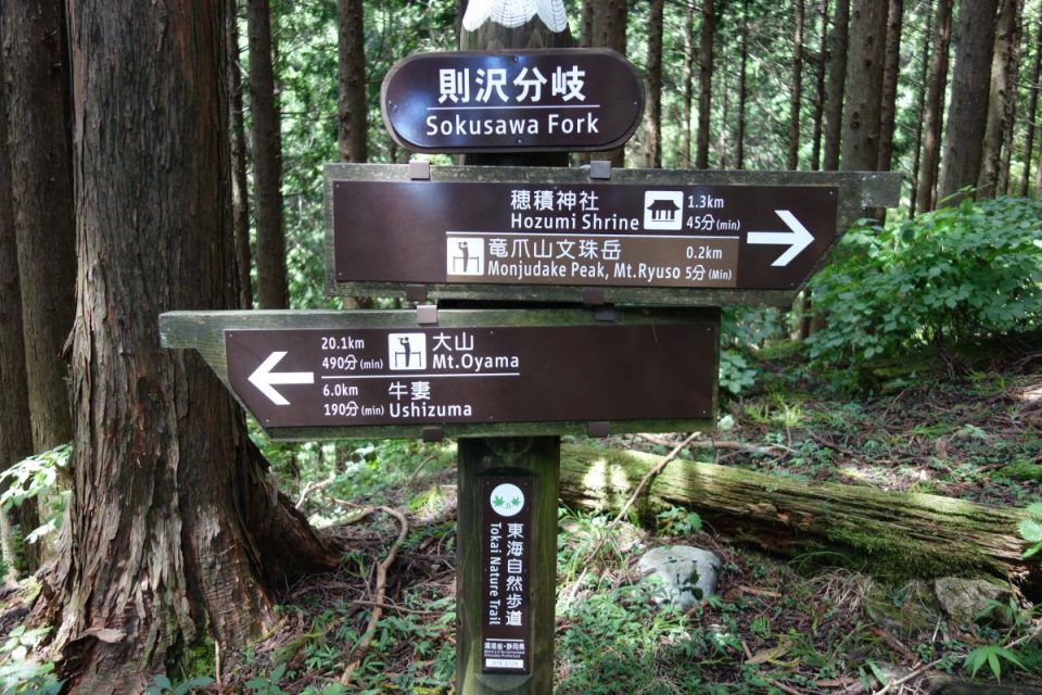 Sokusawa Fork