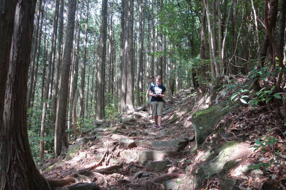 Old Hirayama Trail #3