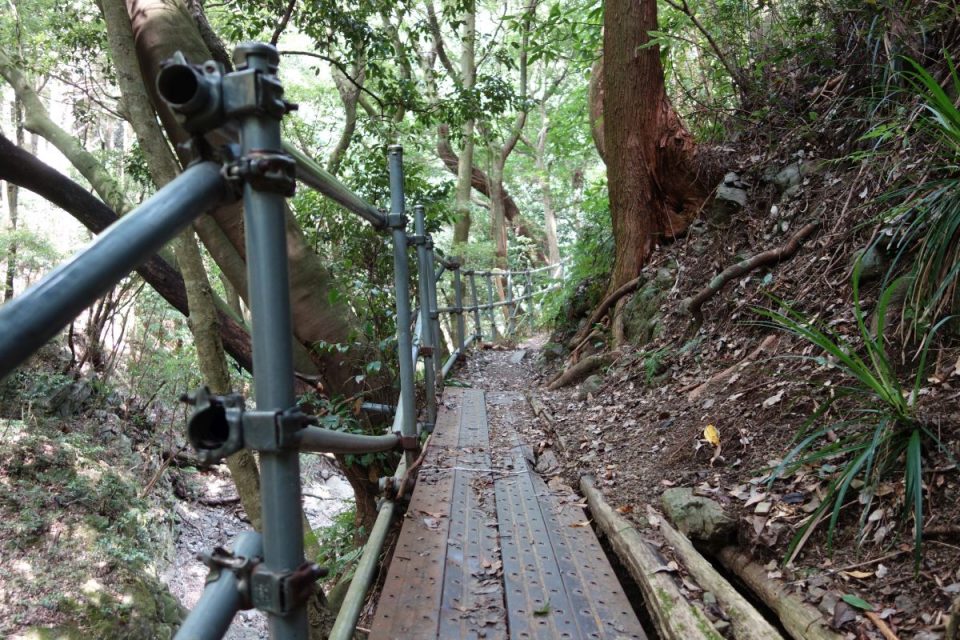 Old Hirayama Trail #6