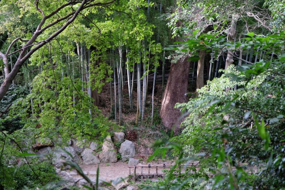 Hamamatsu Burg-Park #10