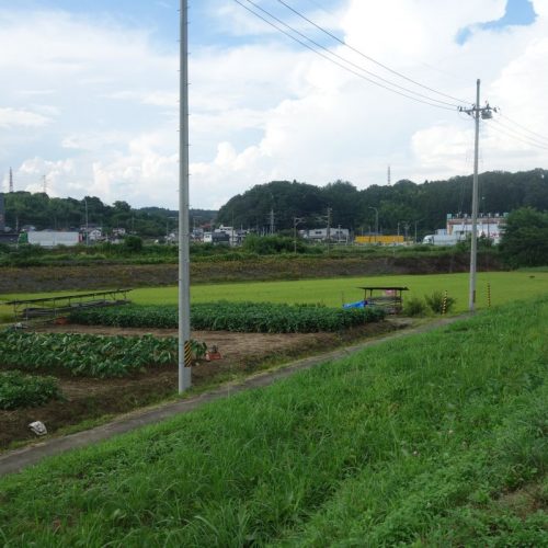 Die Felder von Nihommatsu/Adachi #2