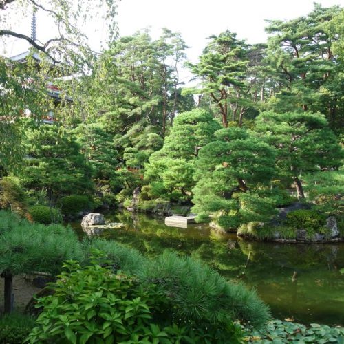Japanischer Garten am Rinnoji-Tempel
