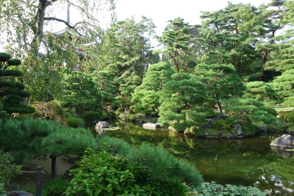 Japanischer Garten am Rinnoji-Tempel