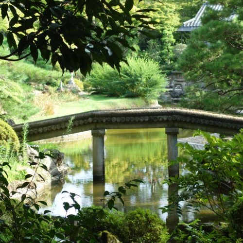Japanischer Garten am Rinnoji-Tempel #6