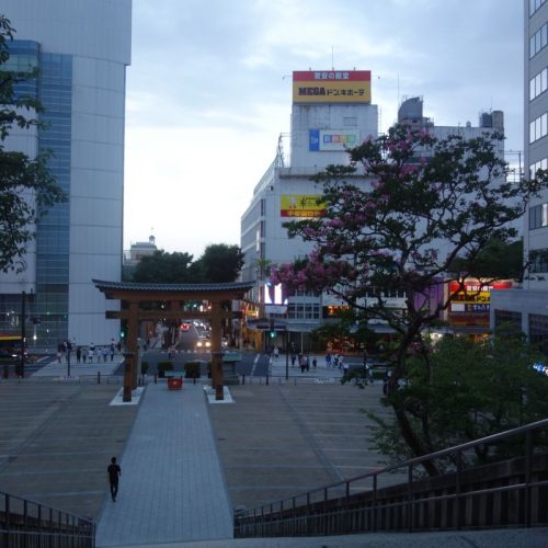 Der Ausblick in die Stadt vom Futaarayama Schrein