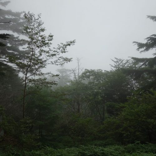 "Ausblick" vom Nantai-San in den Nebel